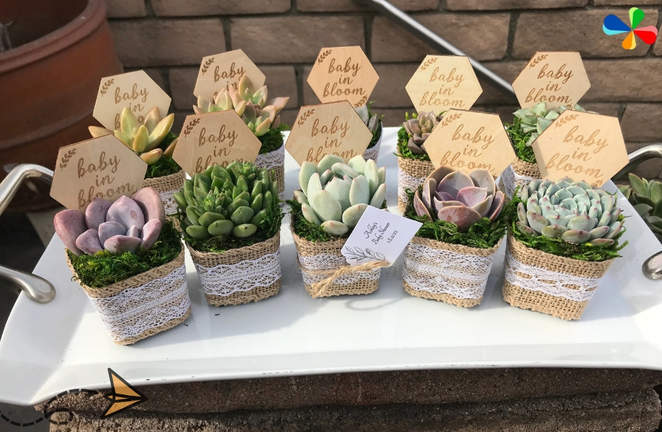 Budget Planning for Baby Shower Favors